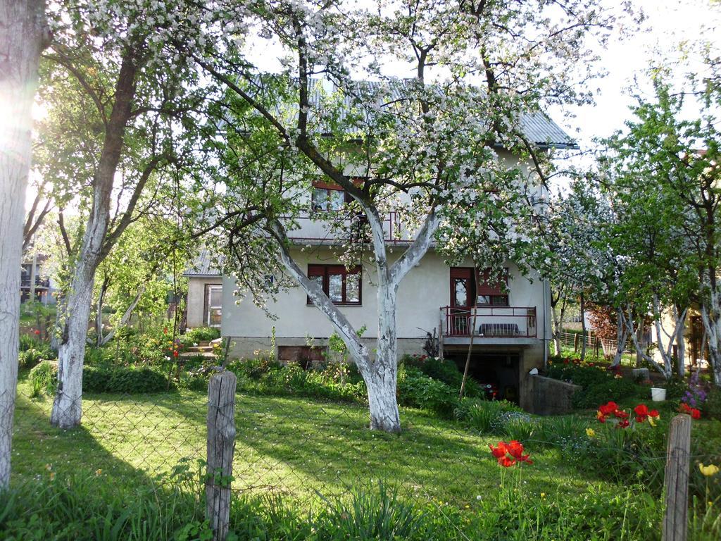 Guest House Krga Korenica Luaran gambar